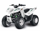 Thumbnail 2009 Arctic Cat 90 Utility, 90 DVX ATV Service Repair Manual INSTANT DOWNLOAD