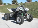 Thumbnail 2010 Arctic Cat 300 DVX, 300 Utility ATV Service Repair Manual INSTANT DOWNLOAD