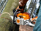 Thumbnail Stihl MS 311, MS 391 Brushcutters Service Repair Manual INSTANT DOWNLOAD Thumbnail Stihl MS 311, MS 391 Brushcutters Service Repair Manual INSTANT DOWNLOAD